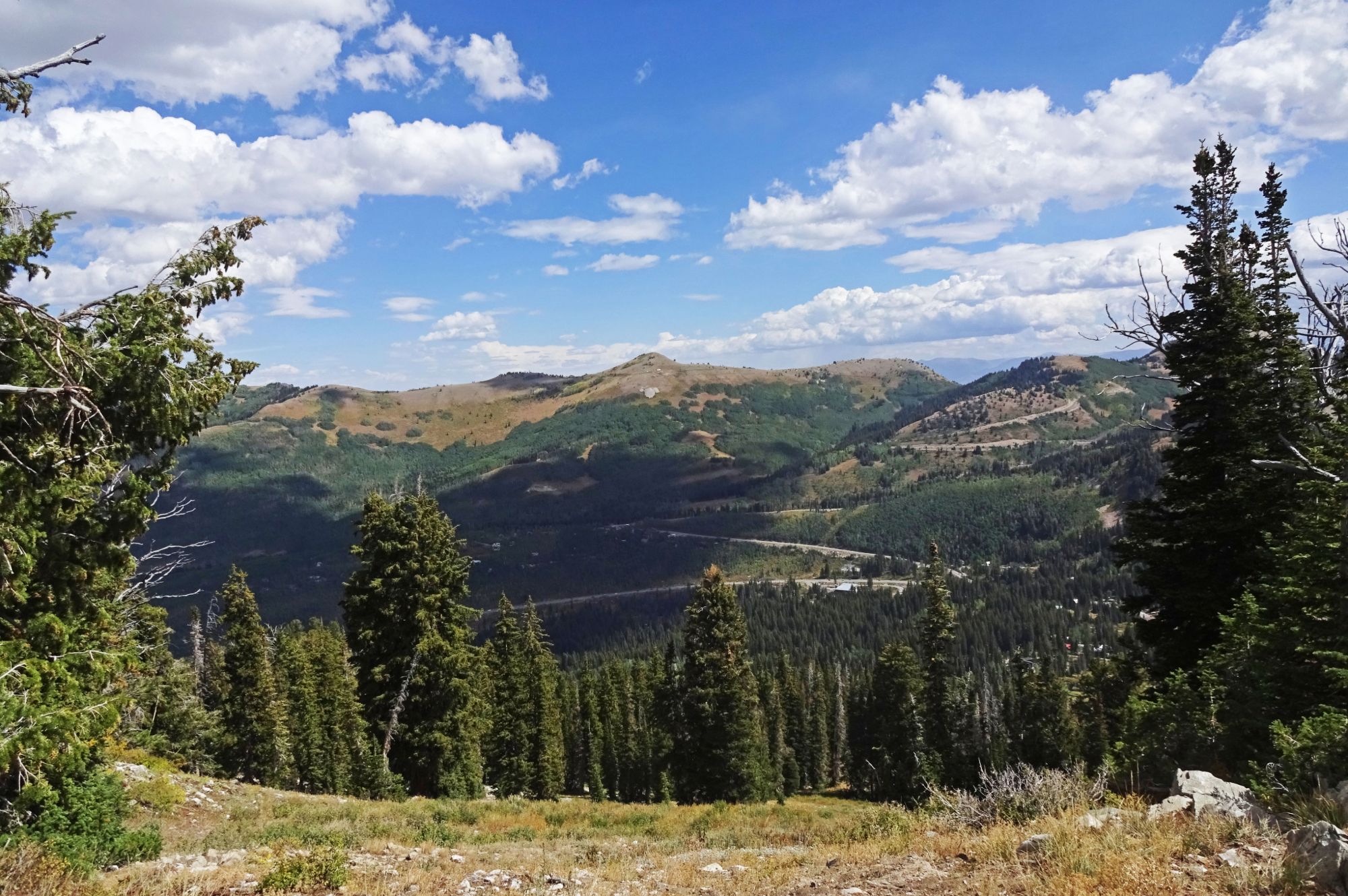 Park City Guardsman