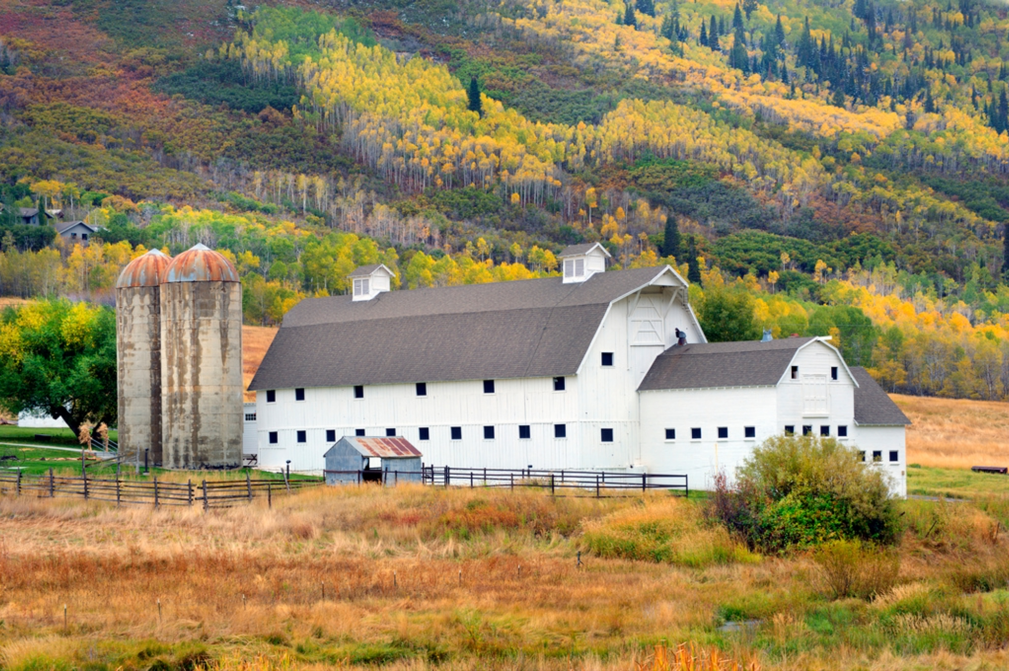 Park City Mcpolin Farm